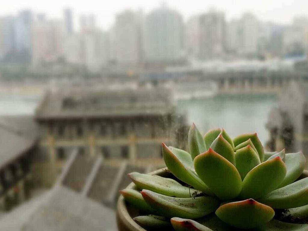 漫途高空酒店洪崖洞夜景店Boutique of Meditation Chongqing Extérieur photo